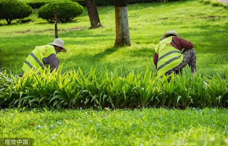 广州荔湾区园林绿化工程