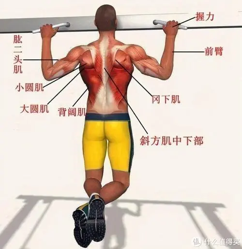双人室内运动健身垫怎么用