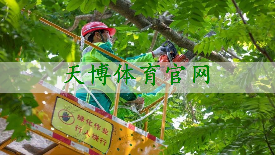 创意园林景观设计施工一体